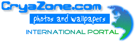 ������� CryaZone.com �� 2009 ���