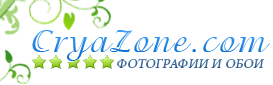 ������� CryaZone.com �� 2010 ���