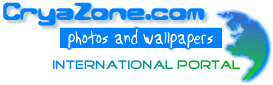 Логотип CryaZone.com за 2009 год