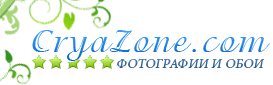 Логотип CryaZone.com за 2010 год