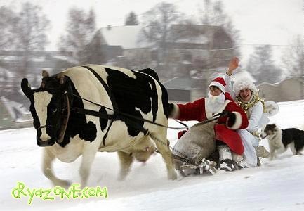 Транспорт Санта Клауса / Transport Santa Claus