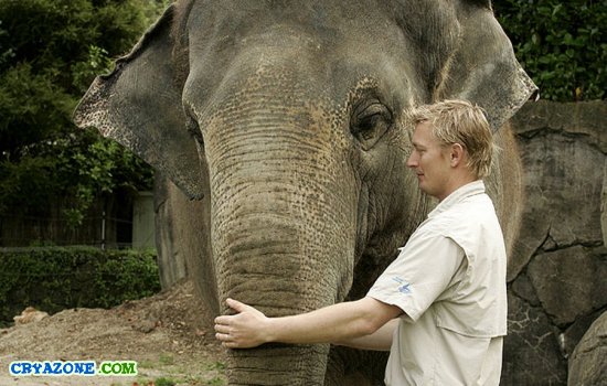Эндрю Коерс утешает слона Бурму