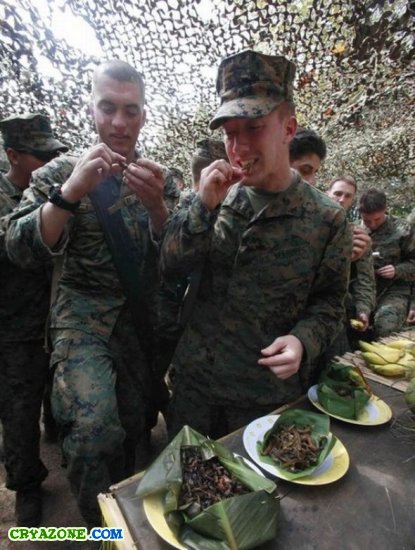 Необычная еда для настоящих солдат