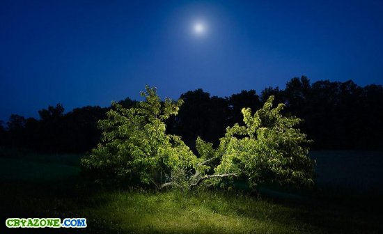 Ночные фотографии природы