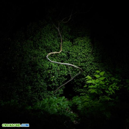 Ночные фотографии природы