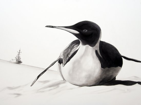 Чёрно-белые рисунки животных от Мартина Каланда