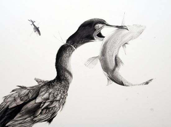 Чёрно-белые рисунки животных от Мартина Каланда