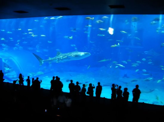 Японский океанариум Okinawa Churaumi Aquarium