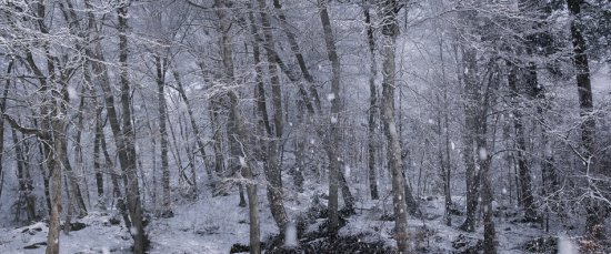 Зима глазами фотографа Norbert Maier