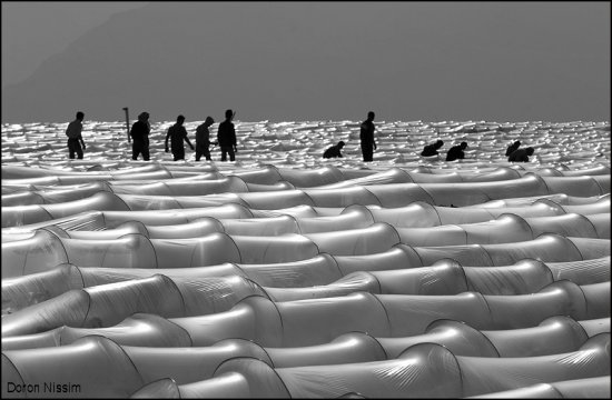 Чёрно-белые фото от фотографа Doron Nissim