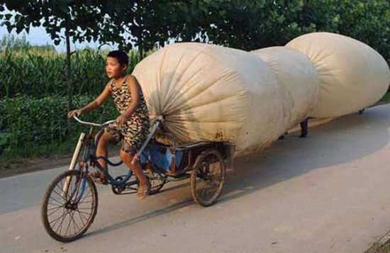 Велосипед - лучшее средство для транспортировки