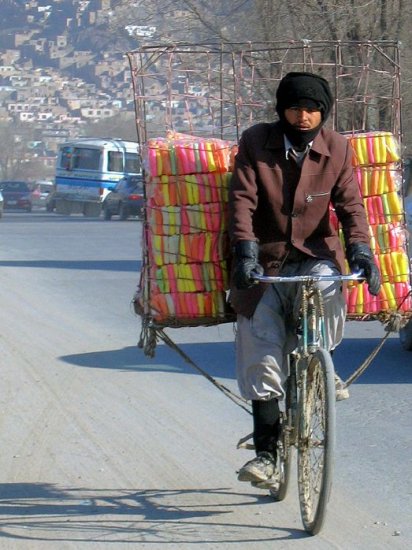 Велосипед - лучшее средство для транспортировки