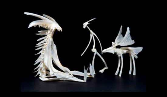 Креативный конструктор из костей от исландского дизайнера