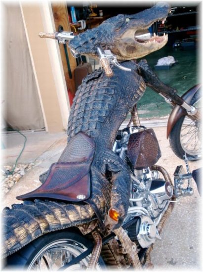 Тюнинг мотоцикла из аллигатора