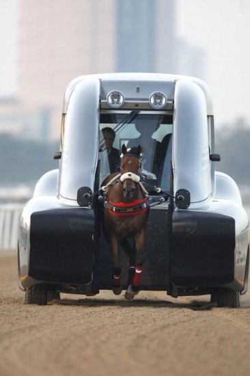 Тренировочный авто для лошадей Roush Horse Trainer