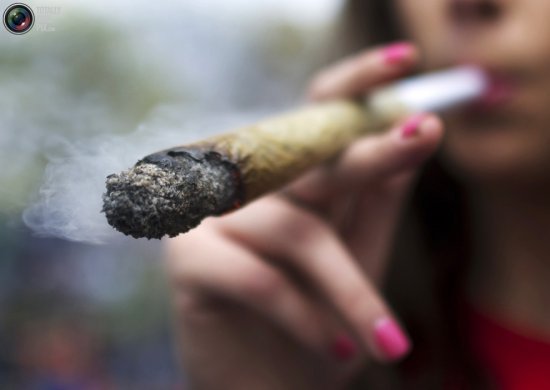 Легализация марихуаны – весь мир в поддержку конопли