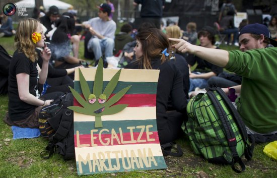 Легализация марихуаны – весь мир в поддержку конопли