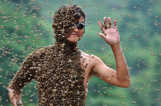 Пчеловод удержал на себе рой пчёл весом в 26 килограмм