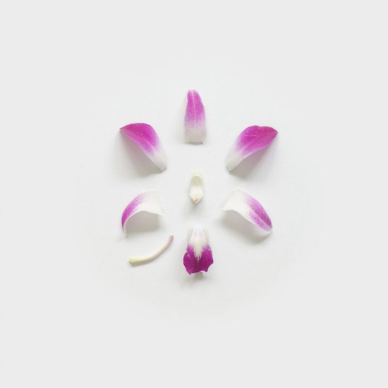 Мистецтво з розірваних квітів від Fong Qi Wei