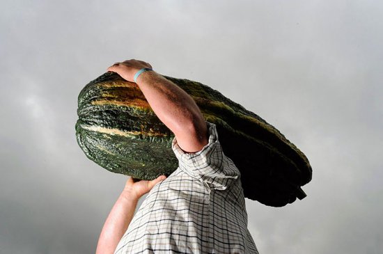 Огромные овощи побившие мировые рекорды
