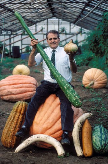 Величезні овочі які побили світові рекорди