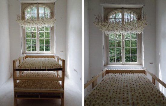 Креативный потолок из 2000 одуванчиков