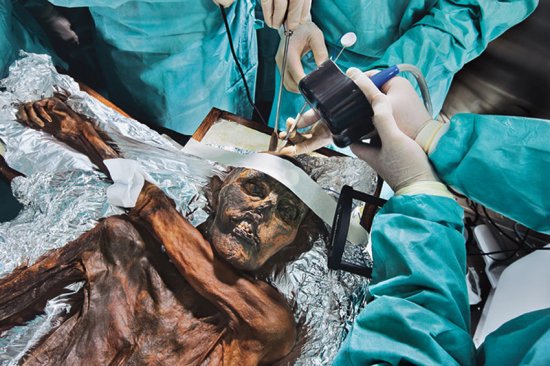 В Альпах знайдений муміфікований «Крижаний чоловік»