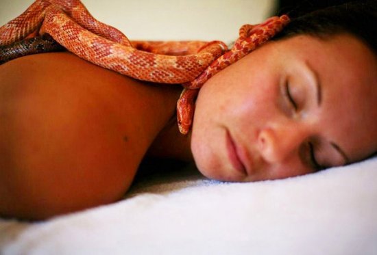 Незвичайний спа салон із зміями масажистами