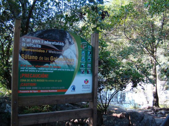 Пещера ласточек — удивительное место в центральной Мексике