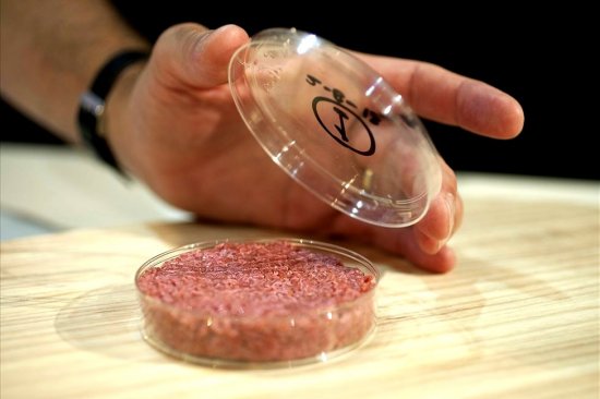 Первый на планете гамбургер с синтезированным мясом