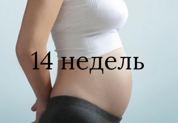 Болит живот на 14 неделе беременности