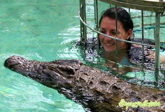 А вы смогли бы так поплавать с крокодилом?