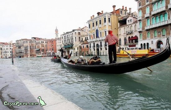 Турнир по wakeboarding в Венеции